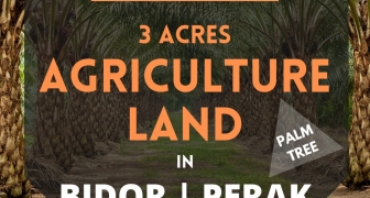BIDOR AGRICULTURE LAND FOR SALE